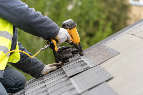 Best Roof Moss and Algae Removal  in Meadowdale, WA